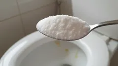 Basta deitar apenas uma colher deste remédio caseiro na sanita durante a noite — e esqueça o mau cheiro e o resíduo
